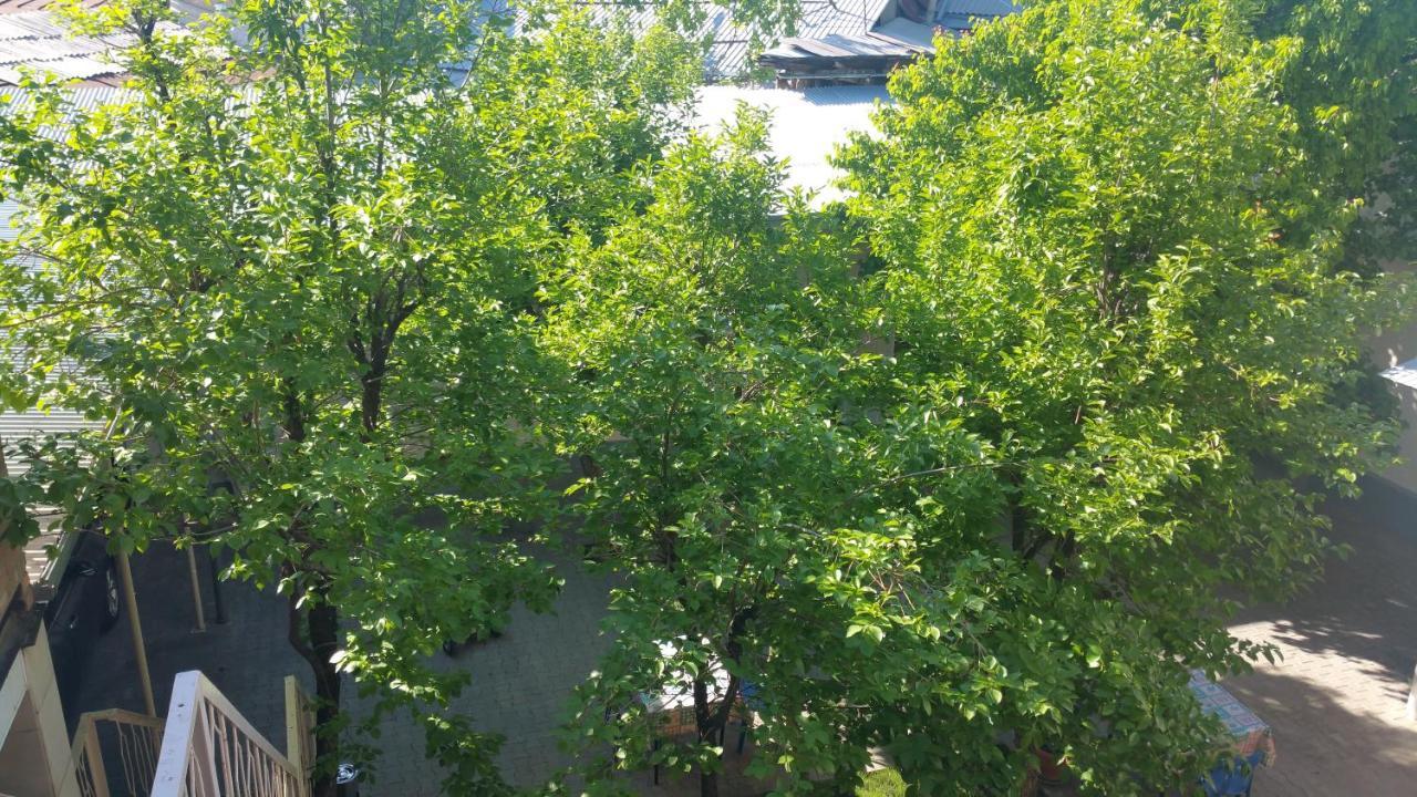 Gulnara Guesthouse Taşkent Dış mekan fotoğraf